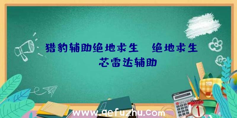 「猎豹辅助绝地求生」|绝地求生usb芯雷达辅助